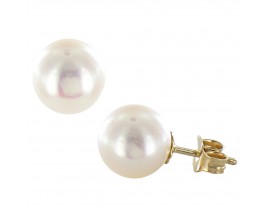 Boucles d'oreilles boutons perles d'eau douce or Stepec - BB95F-J 