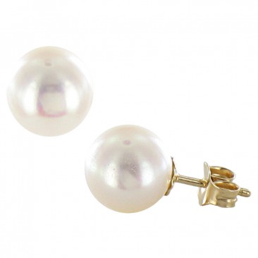 Boucles d'oreilles boutons perles d'eau douce or Stepec - BB95F-J 