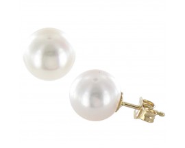 Boucles d'oreilles boutons perles d'eau douce or Stepec - BB100F-J