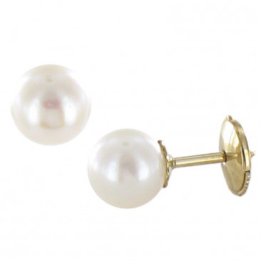 Boucles d'oreilles boutons perles Akoya or Stepec - BA70B-J