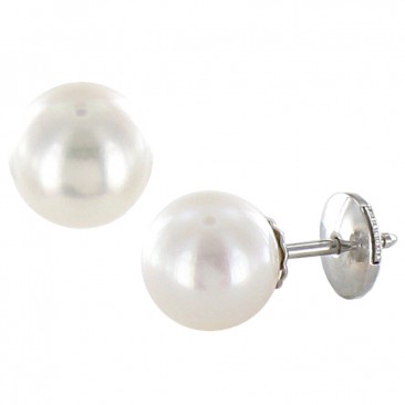 Boucles d'oreilles boutons perles Akoya or Stepec - BA80B-G