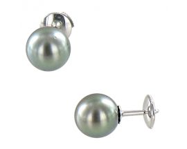 Boucles d'oreilles boutons or Perles de Tahiti Stepec - baBPPt-g