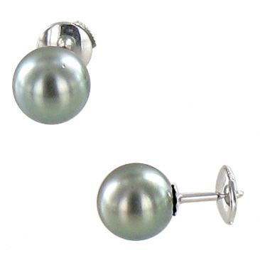 Boucles d'oreilles boutons or Perles de Tahiti Stepec - baBPPt-g