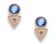 Boucles d'oreilles boutons acier Fossil - JF03009791