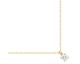 Collier plaqué or oxyde Phebus - 76700074