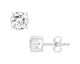 Boucles d'oreilles boutons argent oxydes Phebus - 70400311