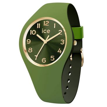 Montre ICE Duo Chic Kiwi Small (34mm) Ice-Watch - 021824