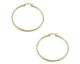 Boucles d'oreilles créoles or Lucas Lucor - XCRE164