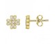 Boucles d'oreilles boutons plaqué or oxydes Phebus - 76400362