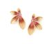 Boucles d'oreilles boutons Franck Herval - 12--69601