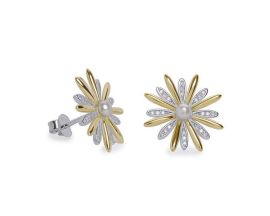 Boucles d'oreilles argent oxydes LINEARGENT - 19862-A