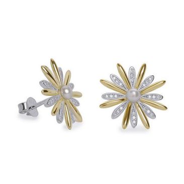 Boucles d'oreilles argent oxydes LINEARGENT - 19862-A