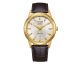 Montre Citizen Eco Drive - AW0102-13AC