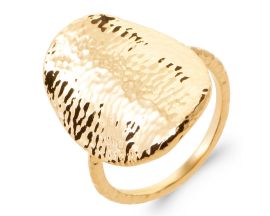 Bague plaqué or Stepec - IESXOPP