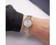 Montre femme Diamants Michel Herbelin - 17116BT68Y19
