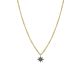 Collier Orus argent doré pendentif étoile diamants noirs