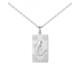 Collier homme en acier argenté avec pendentif astrologique Poisson