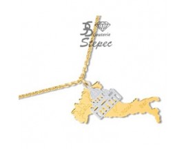 Collier plaqué or - BACK4840