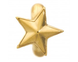 Charm argent plaqué or jaune Endless JLO Rising Star - 1525