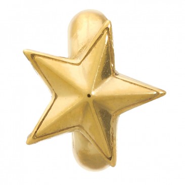 Charm argent plaqué or jaune Endless JLO Rising Star - 1525