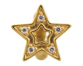 Charm argent plaqué or jaune Endless JLO Shiny Star - 1576