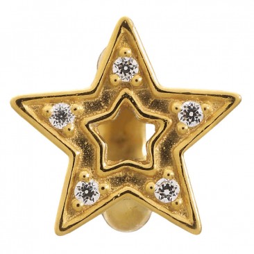 Charm argent plaqué or jaune Endless JLO Shiny Star - 1576