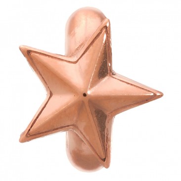 Charm argent plaqué or rose Endless JLO Rising Star - 2525