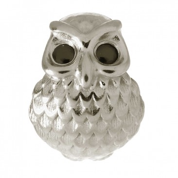 Charm argent Endless Owl - 41351